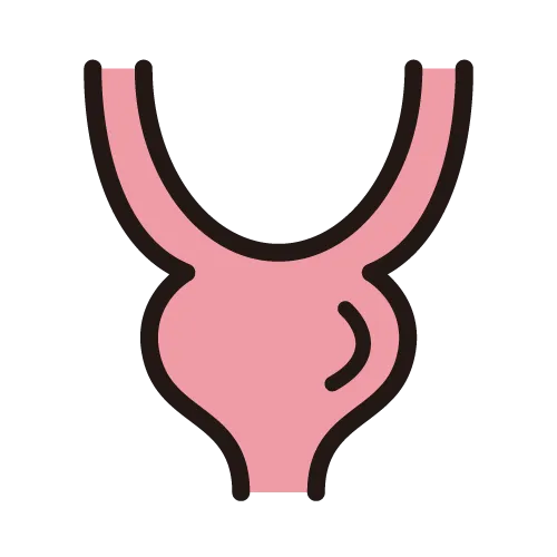 腎盂がん・尿管がん・膀胱がん