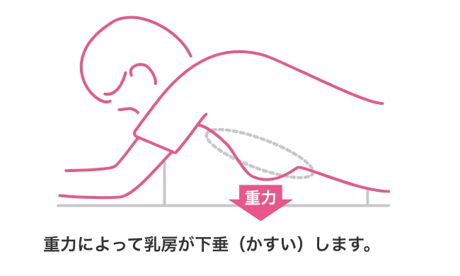 ドゥイブス・サーチの撮影方法の画像