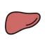 肝臓がん