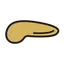 膵臓がん