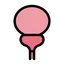前立腺がん