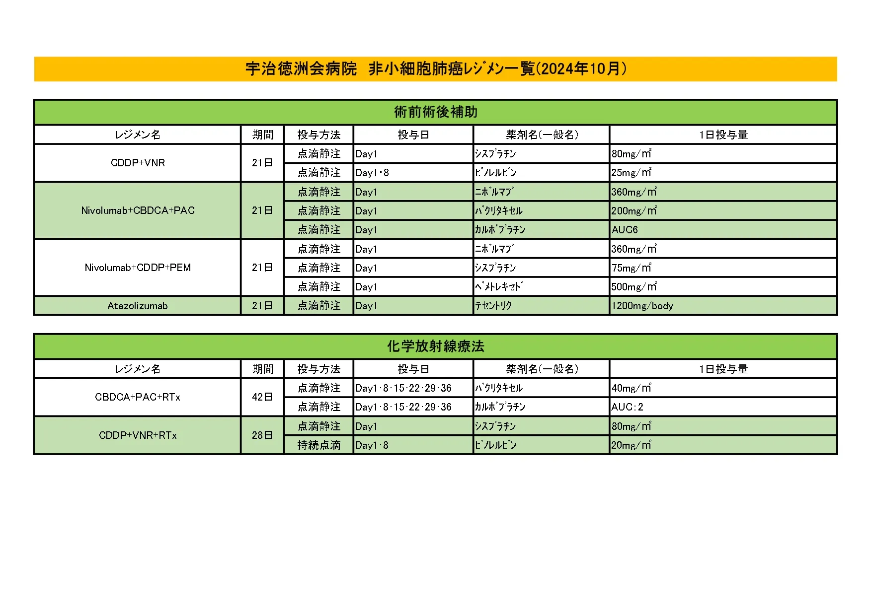 2024年10月 非小細胞肺がんレジメン一覧