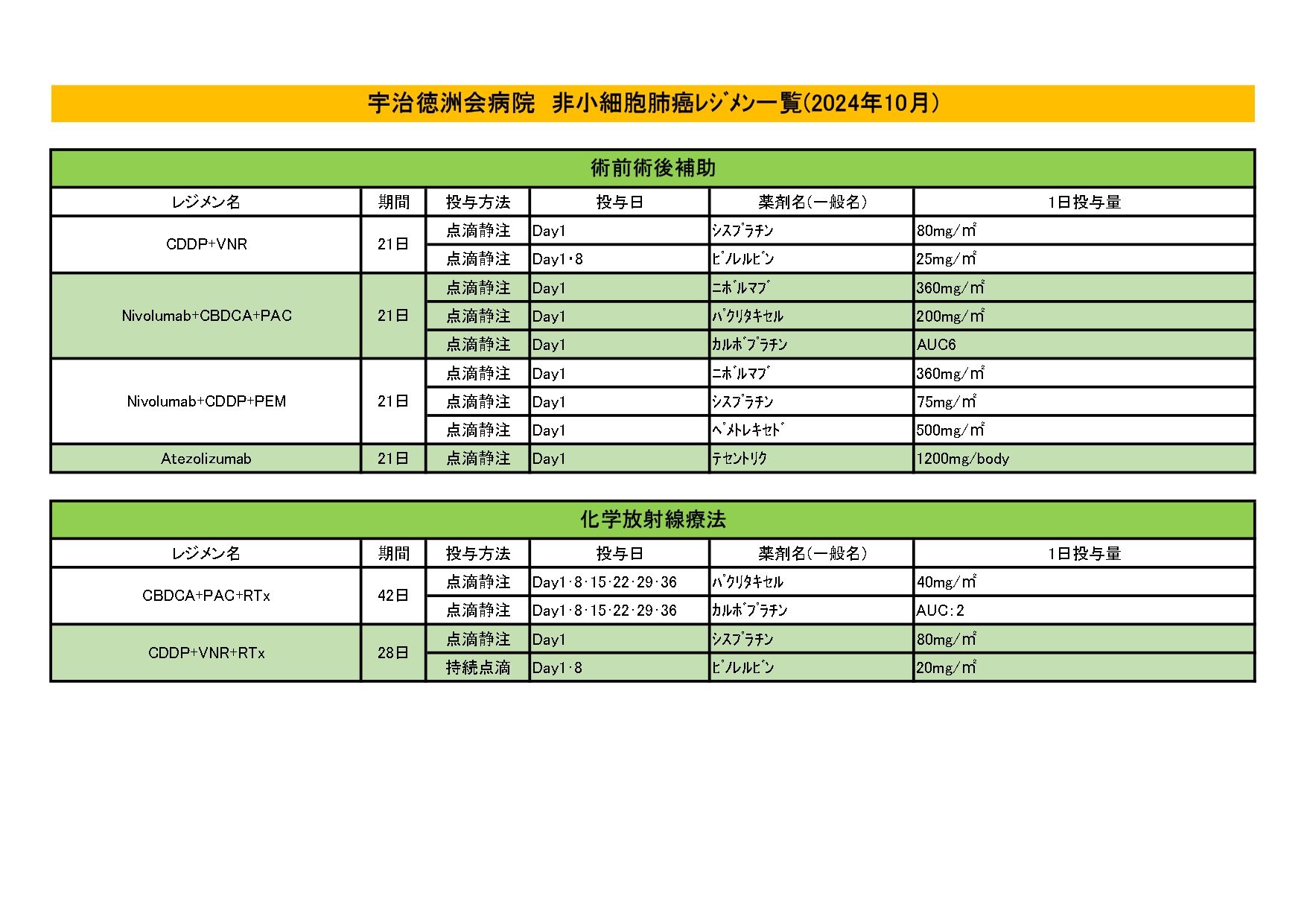 2024年10月 非小細胞肺がんレジメン一覧