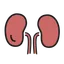 腎臓がん