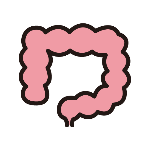 大腸がんのアイコン
