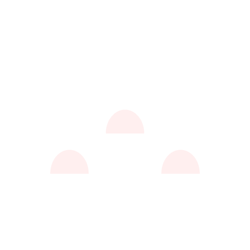 日本人の乳房に適しているのアイコン