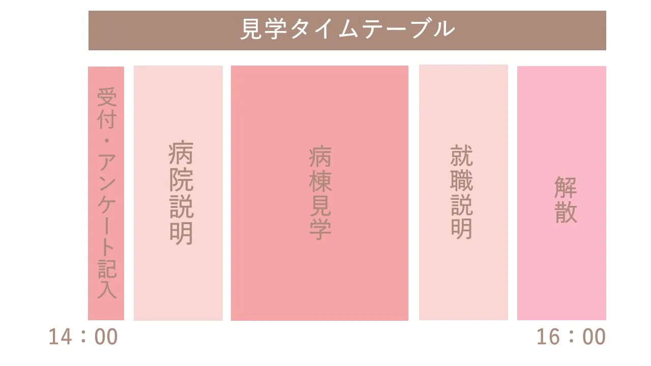 見学タイムテーブル