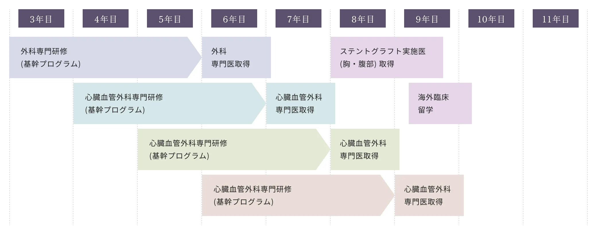キャリアパス