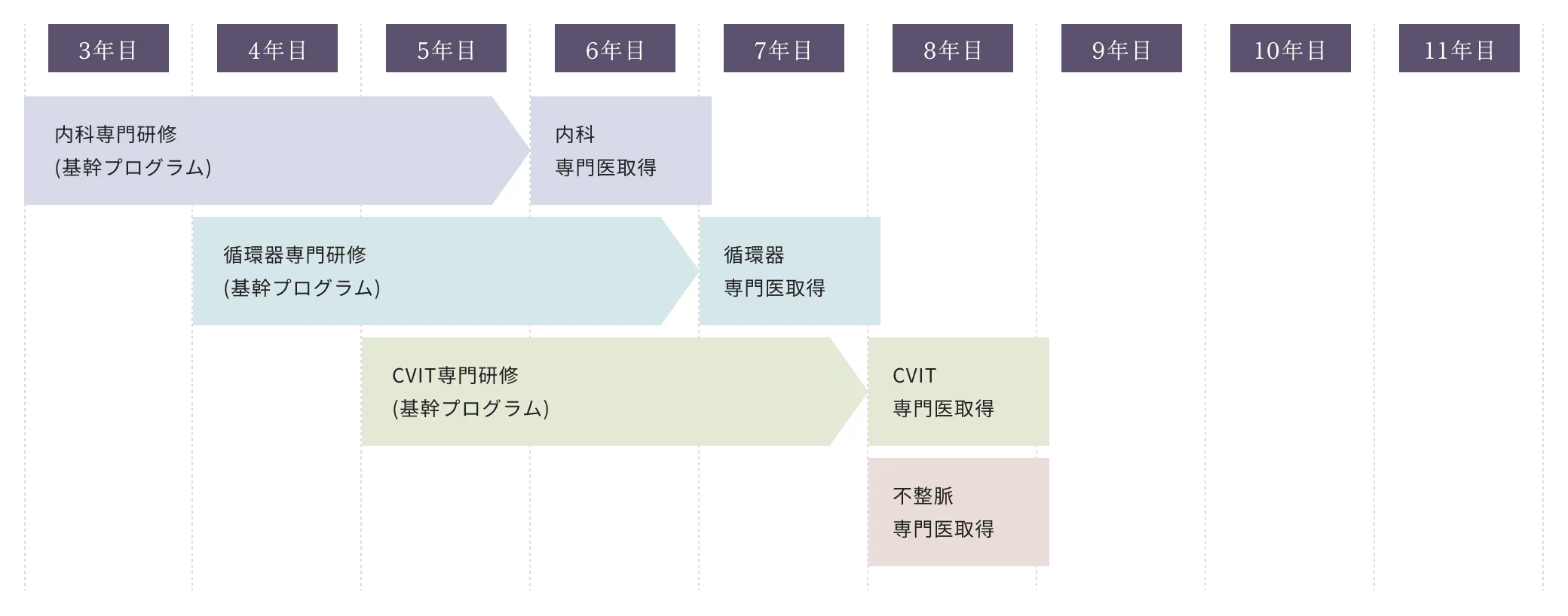 キャリアパス