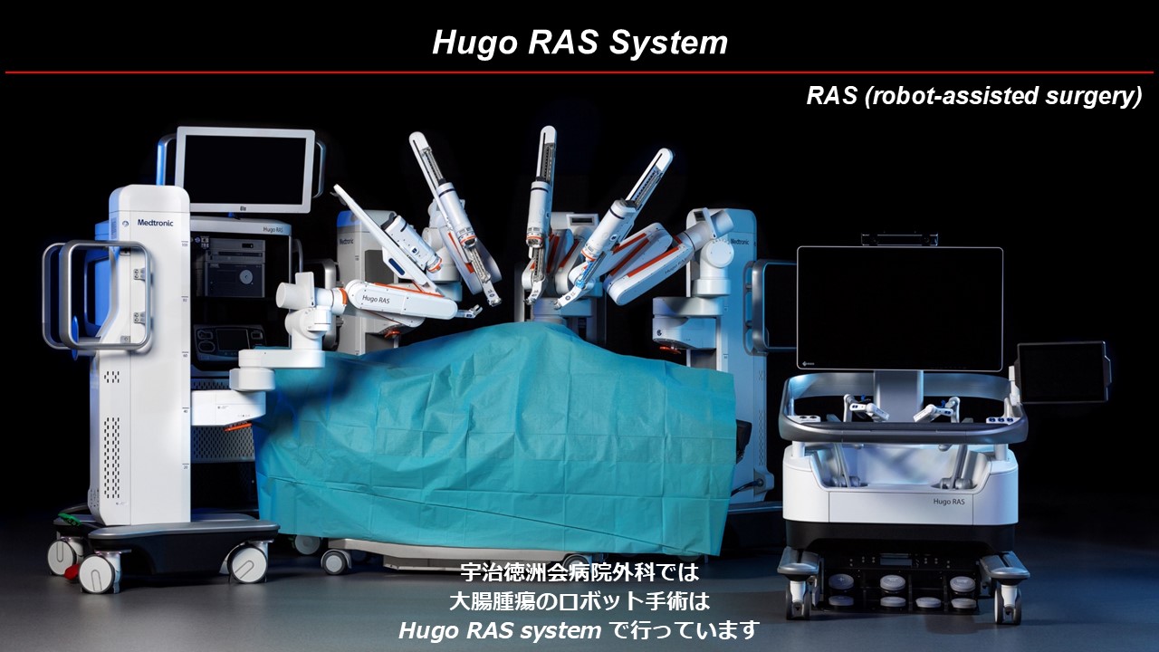 Hugoの画像