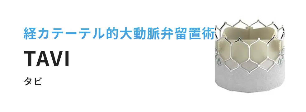 経カテーテル的大動脈弁留置術 TAVI