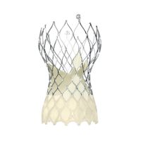 エボルトの画像